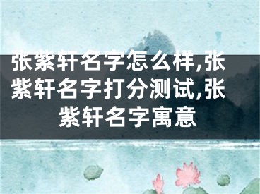 张紫轩名字怎么样,张紫轩名字打分测试,张紫轩名字寓意