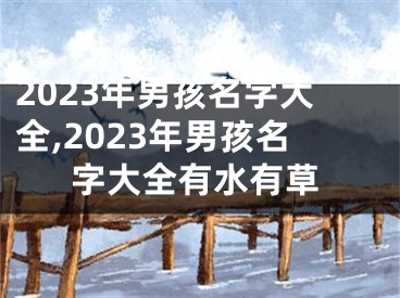 2023年男孩名字大全,2023年男孩名字大全有水有草