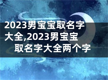 2023男宝宝取名字大全,2023男宝宝取名字大全两个字