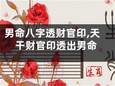 男命八字透财官印,天干财官印透出男命