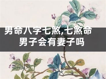 男命八字七煞,七煞命男子会有妻子吗
