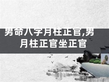 男命八字月柱正官,男月柱正官坐正官