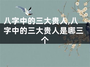 八字中的三大贵人,八字中的三大贵人是哪三个