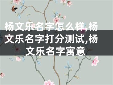 杨文乐名字怎么样,杨文乐名字打分测试,杨文乐名字寓意