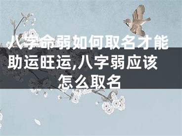 八字命弱如何取名才能助运旺运,八字弱应该怎么取名