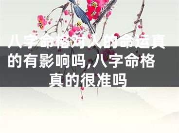 八字命格对人的命运真的有影响吗,八字命格真的很准吗