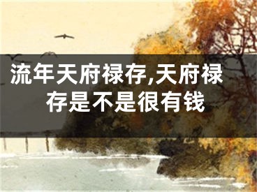 流年天府禄存,天府禄存是不是很有钱