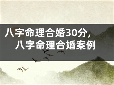 八字命理合婚30分,八字命理合婚案例