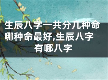 生辰八字一共分几种命哪种命最好,生辰八字有哪八字