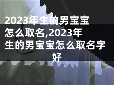 2023年生的男宝宝怎么取名,2023年生的男宝宝怎么取名字好