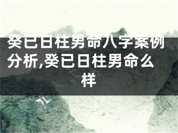 癸已日柱男命八字案例分析,癸已日柱男命么样