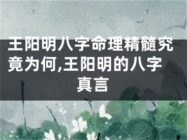 王阳明八字命理精髓究竟为何,王阳明的八字真言