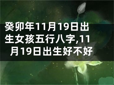 癸卯年11月19日出生女孩五行八字,11月19日出生好不好