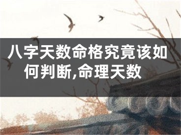 八字天数命格究竟该如何判断,命理天数