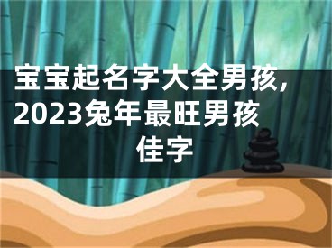 宝宝起名字大全男孩,2023兔年最旺男孩佳字