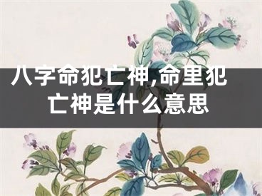 八字命犯亡神,命里犯亡神是什么意思