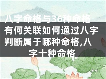 八字命格与36种命格有何关联如何通过八字判断属于哪种命格,八字十种命格