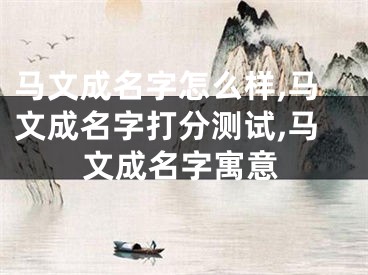 马文成名字怎么样,马文成名字打分测试,马文成名字寓意