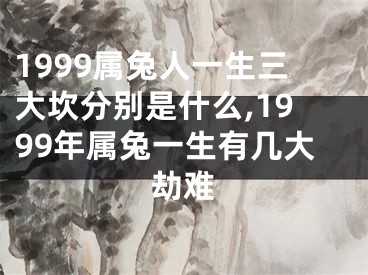 1999属兔人一生三大坎分别是什么,1999年属兔一生有几大劫难