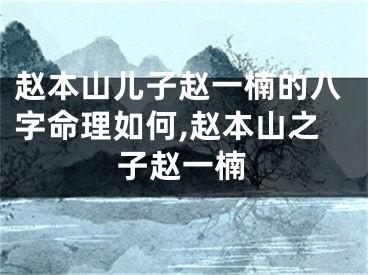 赵本山儿子赵一楠的八字命理如何,赵本山之子赵一楠