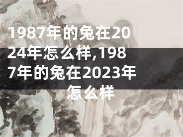 1987年的兔在2024年怎么样,1987年的兔在2023年怎么样