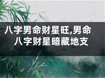 八字男命财星旺,男命八字财星暗藏地支