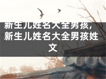 新生儿姓名大全男孩,新生儿姓名大全男孩姓文