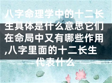 八字命理学中的十二长生具体是什么意思它们在命局中又有哪些作用,八字里面的十二长生代表什么