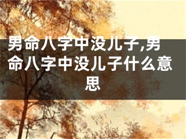 男命八字中没儿子,男命八字中没儿子什么意思