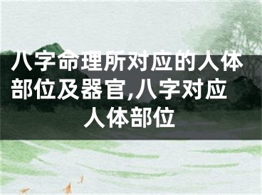 八字命理所对应的人体部位及器官,八字对应人体部位