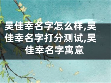 吴佳幸名字怎么样,吴佳幸名字打分测试,吴佳幸名字寓意