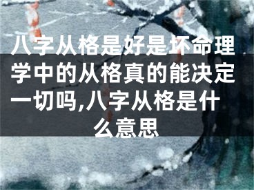 八字从格是好是坏命理学中的从格真的能决定一切吗,八字从格是什么意思