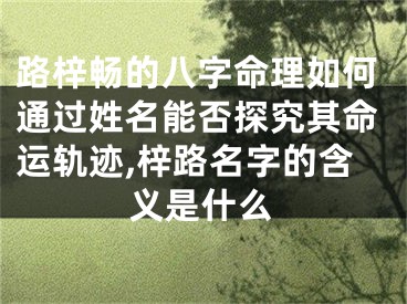 路梓畅的八字命理如何通过姓名能否探究其命运轨迹,梓路名字的含义是什么