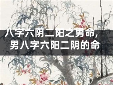 八字六阴二阳之男命,男八字六阳二阴的命