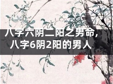 八字六阴二阳之男命,八字6阴2阳的男人