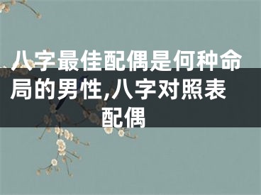 八字最佳配偶是何种命局的男性,八字对照表 配偶