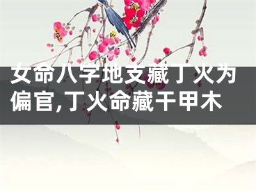 女命八字地支藏丁火为偏官,丁火命藏干甲木