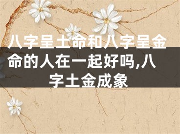 八字呈土命和八字呈金命的人在一起好吗,八字土金成象