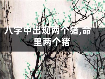 八字中出现两个猪,命里两个猪