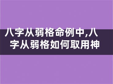 八字从弱格命例中,八字从弱格如何取用神