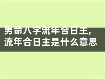 男命八字流年合日主,流年合日主是什么意思