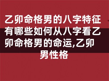 乙卯命格男的八字特征有哪些如何从八字看乙卯命格男的命运,乙卯男性格
