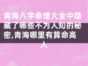 青海八字命理大全中隐藏了哪些不为人知的秘密,青海哪里有算命高人