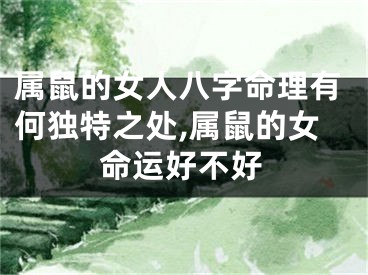 属鼠的女人八字命理有何独特之处,属鼠的女命运好不好