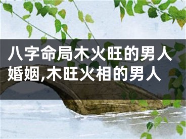 八字命局木火旺的男人婚姻,木旺火相的男人