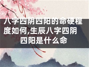 八字四阴四阳的命硬程度如何,生辰八字四阴四阳是什么命