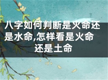 八字如何判断是火命还是水命,怎样看是火命还是土命