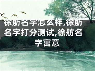徐舫名字怎么样,徐舫名字打分测试,徐舫名字寓意