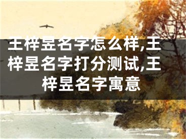 王梓昱名字怎么样,王梓昱名字打分测试,王梓昱名字寓意