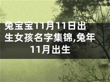兔宝宝11月11日出生女孩名字集锦,兔年11月出生